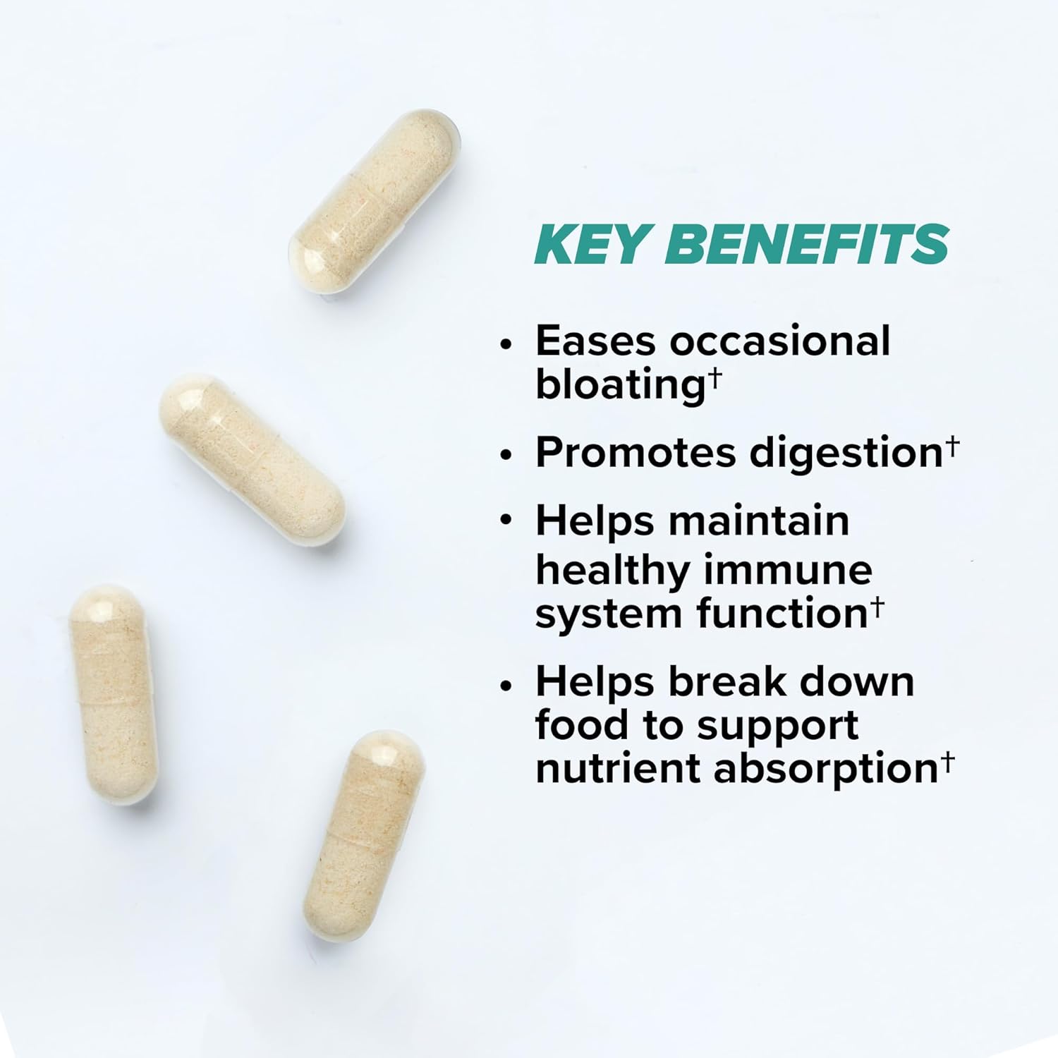 ONNIT Total Gut Health Daily Digestive Support, Complete Digestion Supplement for Women and Men with 7 Strains of Probiotics, Prebiotics, Enzymes and Betaine HCL, 120 Count