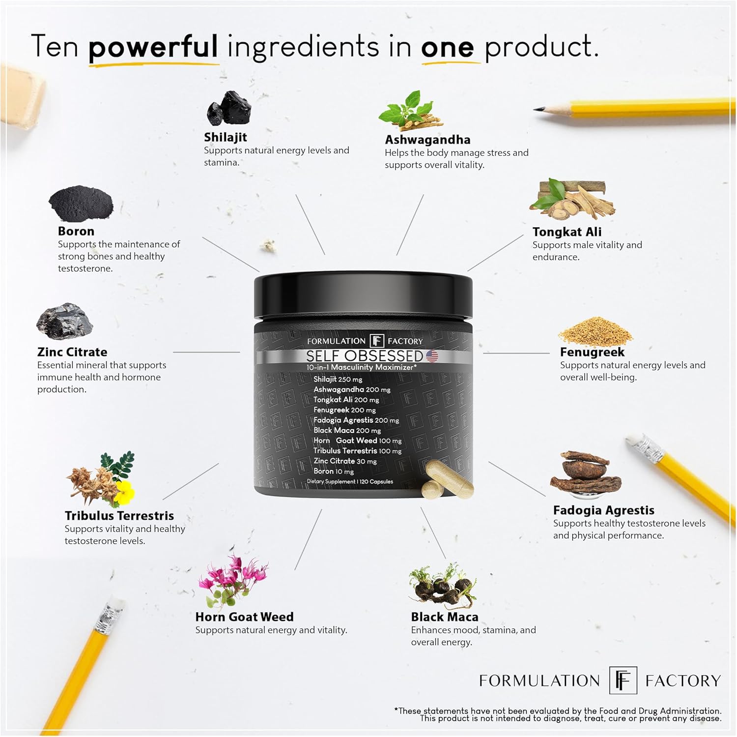 Formulation Factory Self Obsessed 10 in 1 Masculinity Maximizer Supplement, Shilajit for Men, Tongkat Ali, Ashwaganda, Fenugreek Muscle Growth, Energy, Drive, Strength, Recovery 2 Month (Pack of 1)