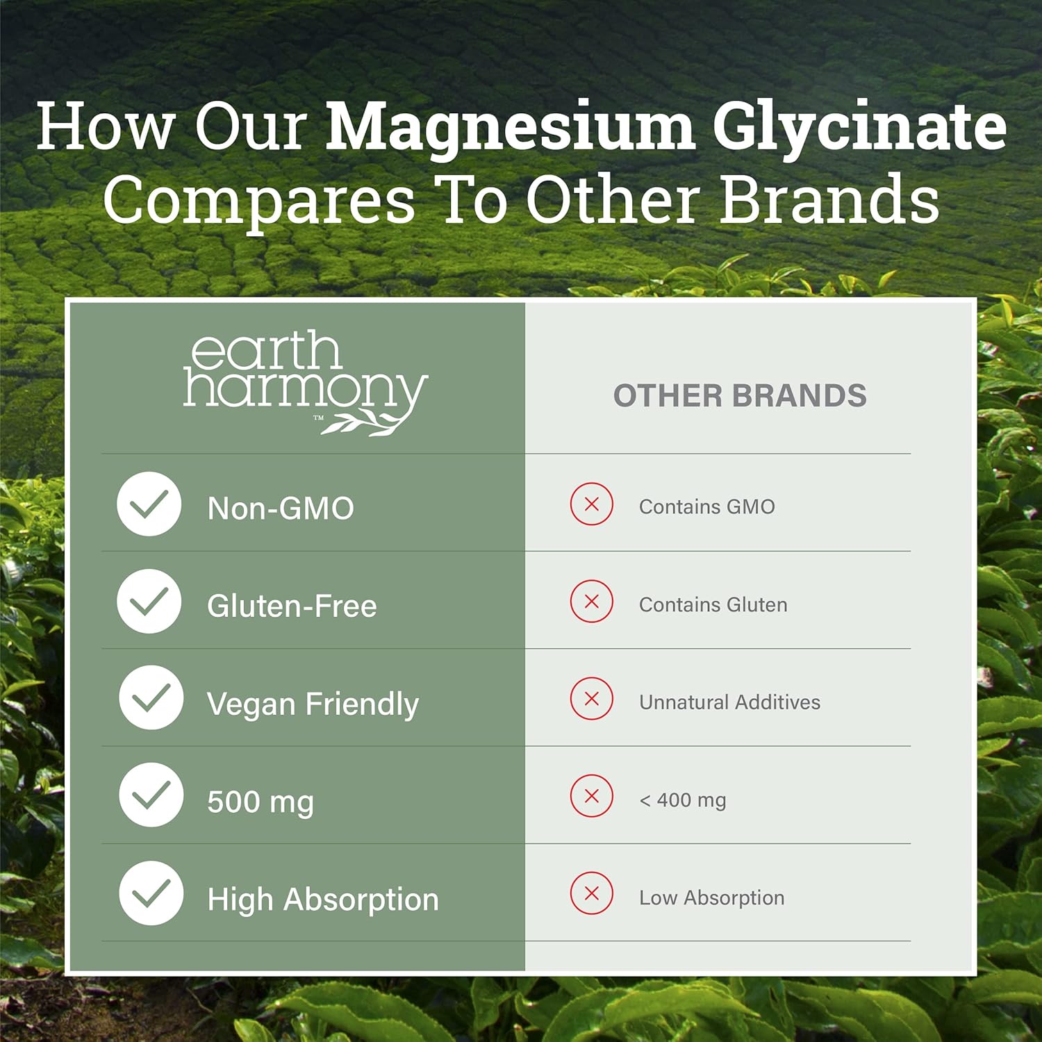 Pure Magnesium Glycinate 500Mg - Chelated Magnesium Supplement, High Absorption Capsules for Sleep, Glicinato De Magnesio with Organic MCT Powder (120 Capsules)