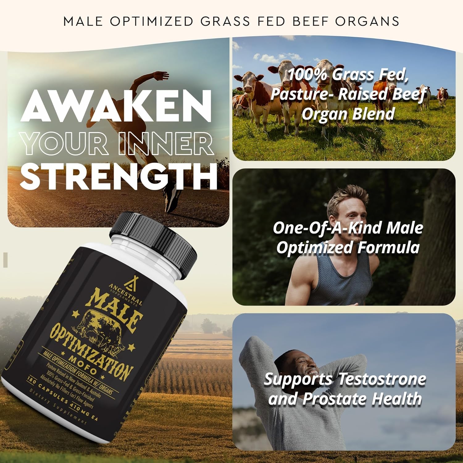 Ancestral  Mofo, Supplements for Men, Support for Energy Levels and Overall Men'S Health and Wellness, Non-Gmo Grass Fed Beef Organ Supplement with Liver, No Fillers, 180 Capsules