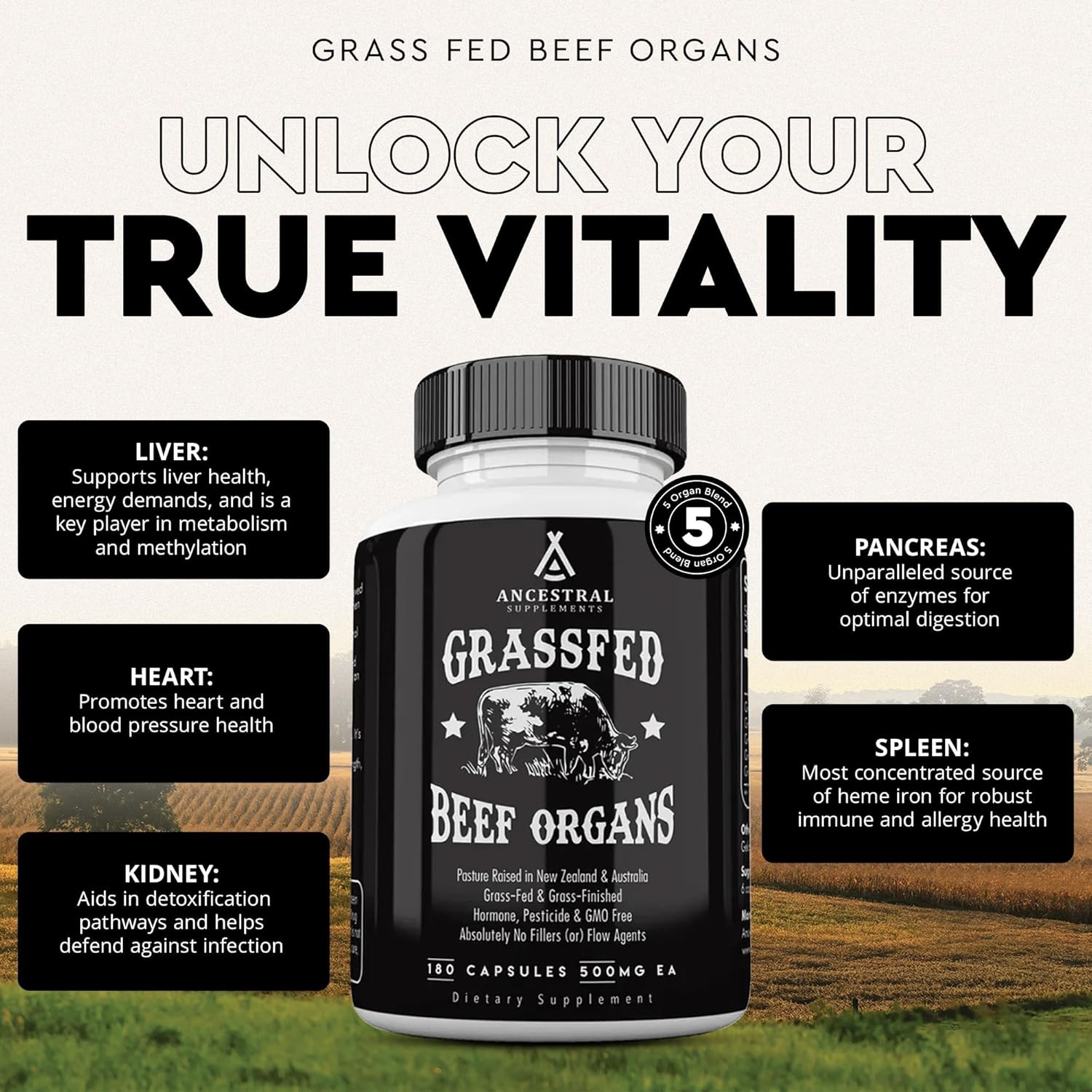 Grass Fed Beef Organ Supplement, Supports Whole Body Wellness with Proprietary Blend of Liver, Heart, Kidney, Pancreas, Spleen, Freeze-Dried Beef, Non-Gmo, 180 Capsules
