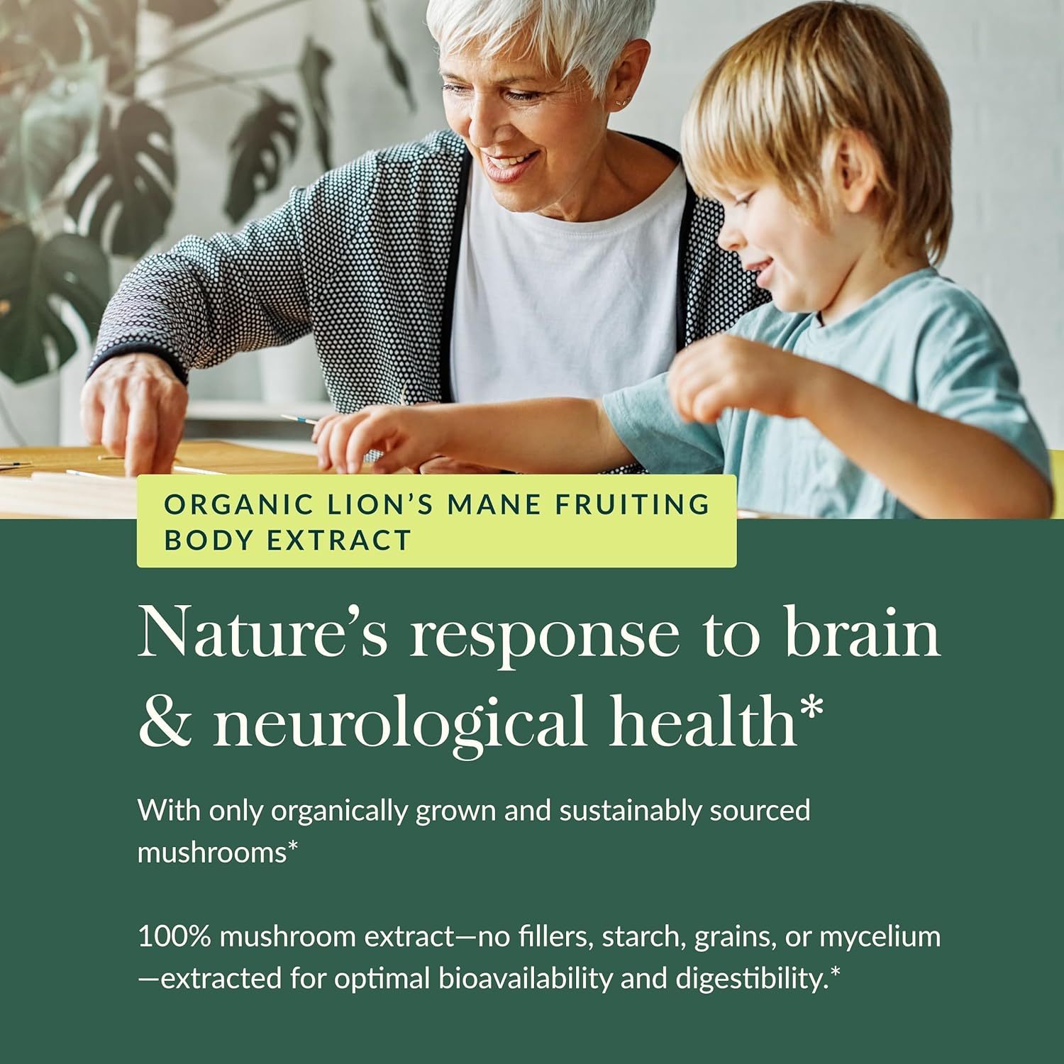 Lion’S Mane Mushroom - Brain & Nerve Health Support - 120 Vegan Capsules
