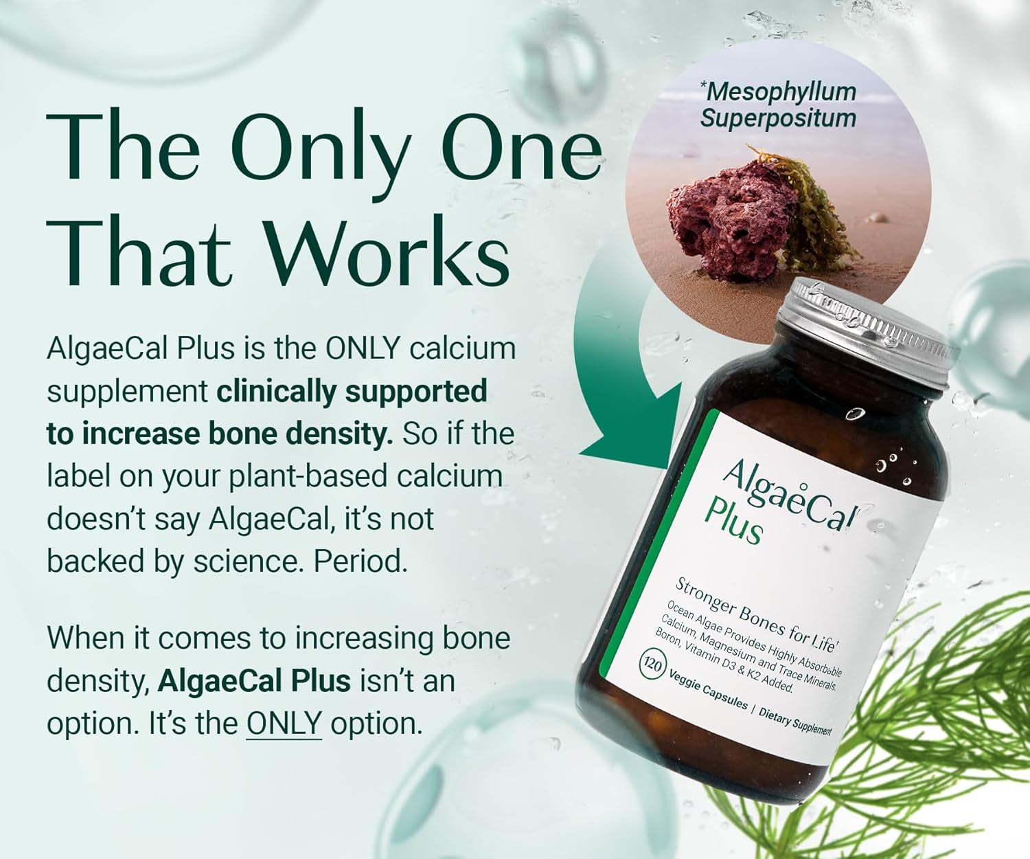 ALGAECAL Organic Red Algae Calcium Supplement for Bone Density, Vitamin K2 MK7 (100Mg), Vitamin D3 (1600 IU), Magnesium (350Mg) & Trace Minerals & Strength, Easy to Swallow, 120 Veggie Caps
