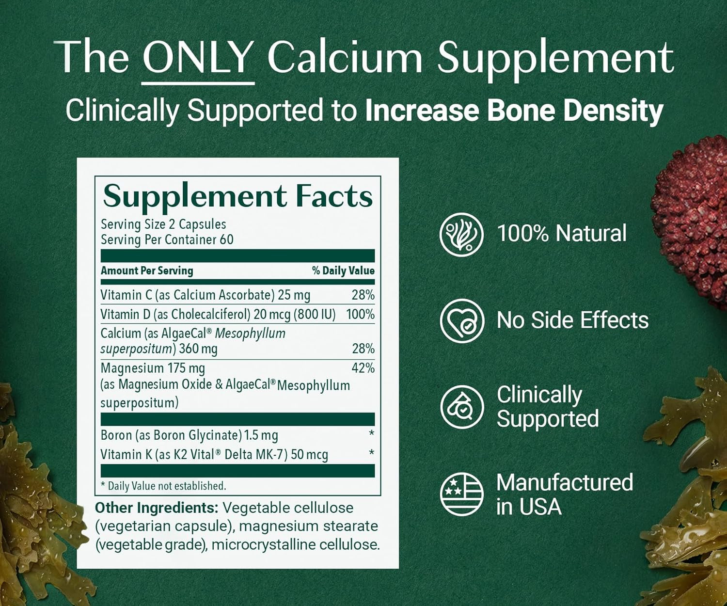 ALGAECAL Organic Red Algae Calcium Supplement for Bone Density, Vitamin K2 MK7 (100Mg), Vitamin D3 (1600 IU), Magnesium (350Mg) & Trace Minerals & Strength, Easy to Swallow, 120 Veggie Caps